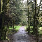 Thanks For Joining Me!